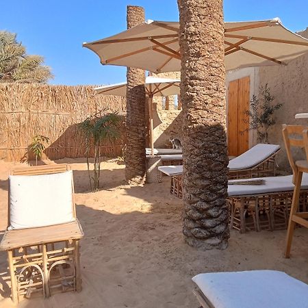 Tanirt Ecolodge Siwa Oasis Exteriör bild