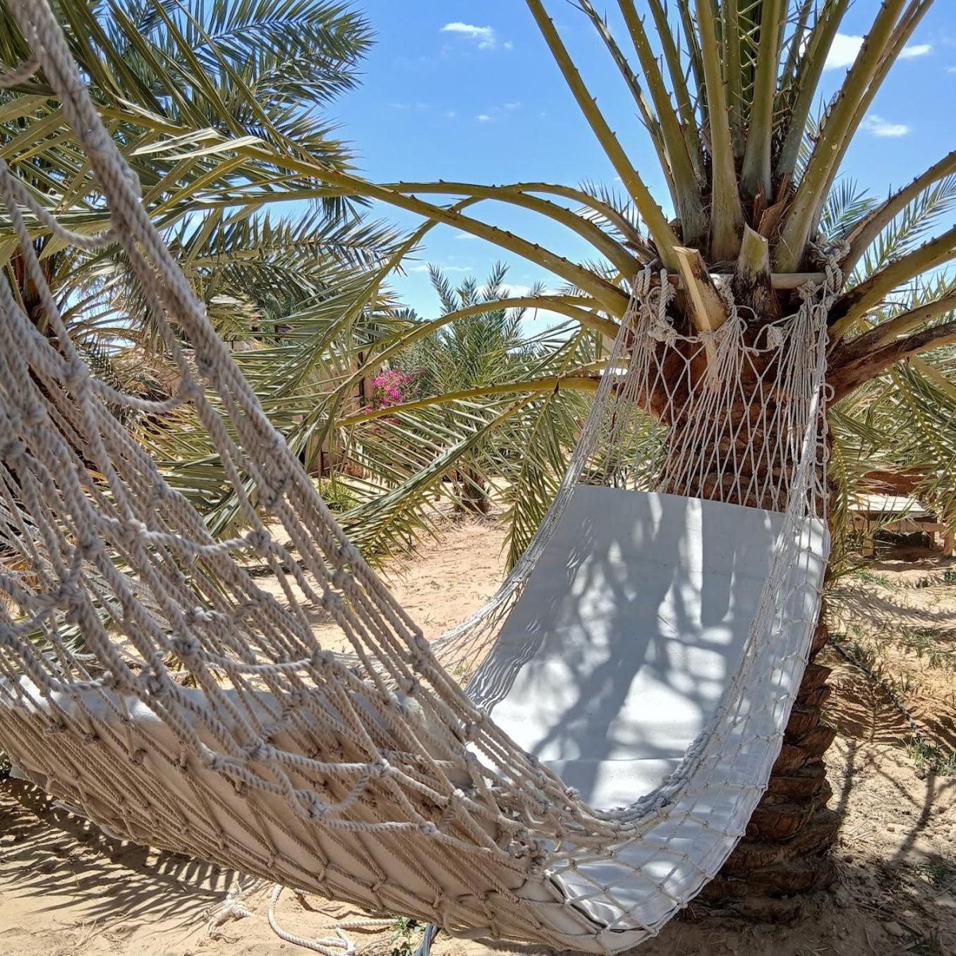 Tanirt Ecolodge Siwa Oasis Exteriör bild
